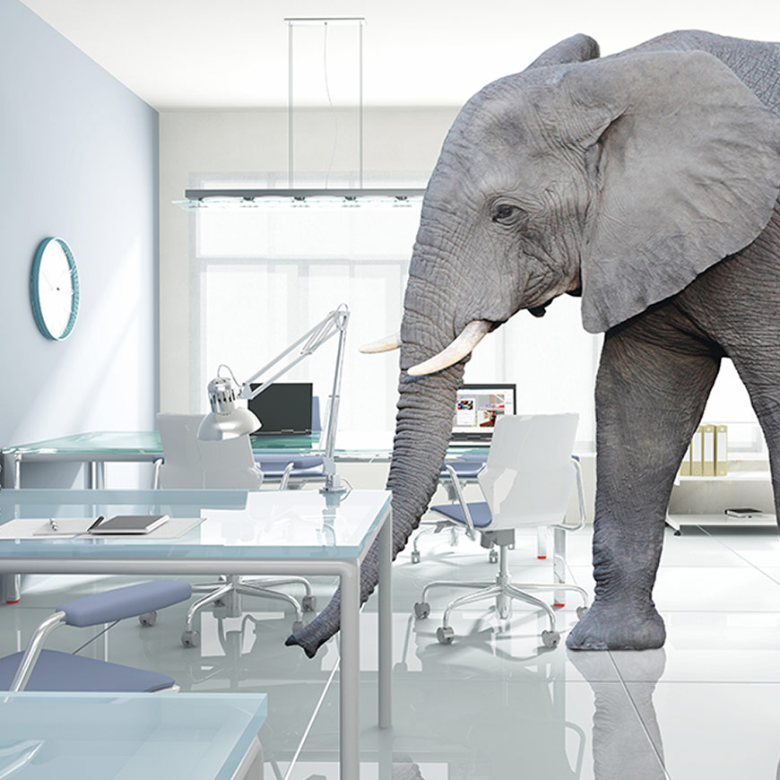 elephant in the room digital marketing