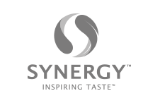 b2b creative agency synergy logo